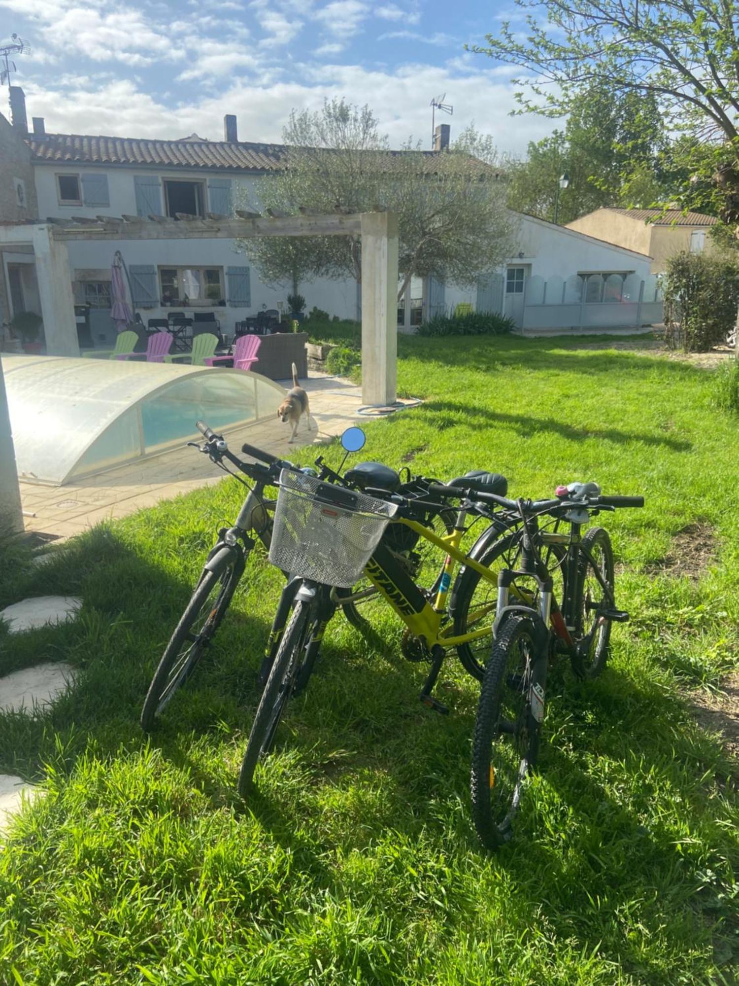 Petit Appartement Saint-Xandre Dış mekan fotoğraf